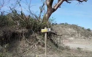 Encuentran 17 cuerpos en fosa clandestina de Guanajuato; Fiscalía tardó casi un mes en darlo a conocer