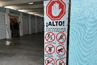 Imagen Prohíben patinetas, scooters y bicicletas en esta parte del malecón de Veracruz