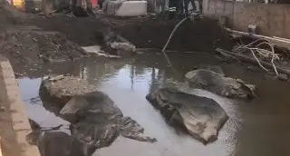 Entierran cañones hallados en avenida Independencia de Veracruz (+Video) 