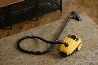 Imagen Mujer estrangula a su amiga con el cable de la aspiradora en España