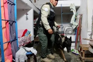 Imagen Requisas en penales de Acayucan, Cosamaloapan y San Andrés Tuxtla