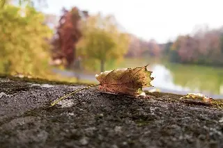 Imagen ¿A qué hora ocurrirá el equinoccio de otoño este lunes?
