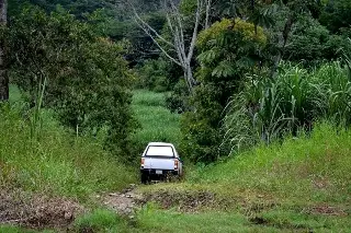 Imagen Hallan restos humanos dentro de hielera en Omealca, Veracruz