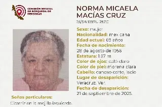 Imagen Ella es Norma, tiene 69 años de edad y desapareció en el puerto de Veracruz