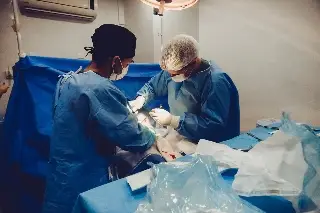Imagen Donación de órganos y tejidos: ¿Cuántas vidas puede salvar un donante cadavérico?