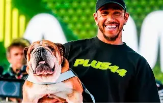 Imagen Muere Roscoe, mascota más famosa de la fórmula 1 