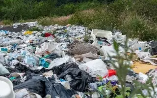 Imagen Detectan basurero en Coacoatzintla, Veracruz; esto encontraron 
