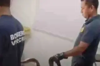 Imagen Culebra los sorprende al llegar a sus clases. Esto piden los padres de familia 