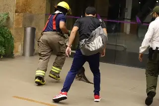 Imagen ¿Qué hicieron con la nutria que andaba en plaza comercial de la Riviera Veracruzana? (Video)