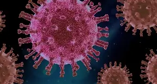 Imagen ¿El virus Coxsakie puede ser mortal? Esto explica epidemiólogo