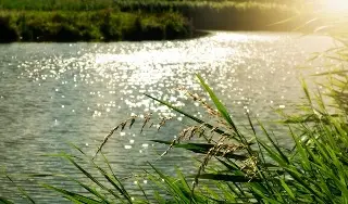 Imagen Muere en el río al norte de Veracruz 