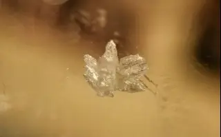 Imagen Alertan que accesibilidad y precio propagan el cristal como epidemia en Veracruz