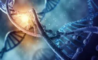 Imagen ¿ADN extraterrestre en humanos? Científico propone hipótesis controvertida