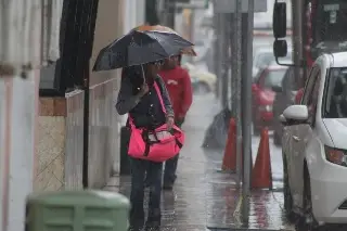 Imagen Este es el saldo que han dejado las lluvias en Veracruz