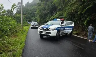 Imagen Hallan cuerpo embolsado en carretera de Veracruz; esto es lo que se sabe 