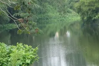 Imagen Esto es lo último que se sabe sobre los niveles de ríos en Veracruz 