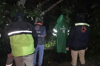 Imagen Protección Civil atiende afectaciones por lluvias en Veracruz: Rocío Nahle
