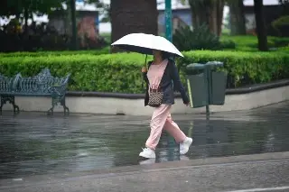 Imagen Estos daños causaron fuertes lluvias en Xalapa, Veracruz 