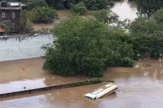 Imagen Niño se aferra a un árbol tras ser arrastrado por la corriente en Poza Rica (+Video)