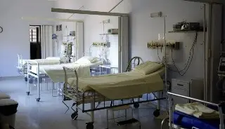 Imagen ¿Cómo prevenir la rabia humana? Esto dice experto