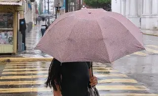Imagen Prevén posibles lluvias y 'rachas fuertes' de viento del norte en Veracruz ¿A partir de cuándo?