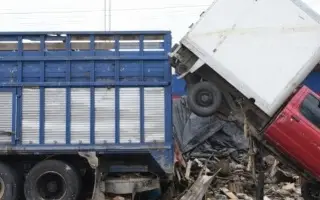 Imagen Rocío Nahle anuncia avances tras fuertes lluvias al norte de Veracruz; habrá puente aéreo