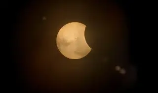 Eclipse solar total desencadena en las aves el comportamiento del amanecer, según estudio
