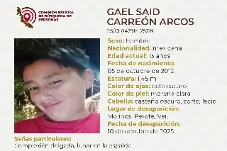 Imagen Piden apoyo para localizar a menor de edad desaparecido en Perote, Veracruz 