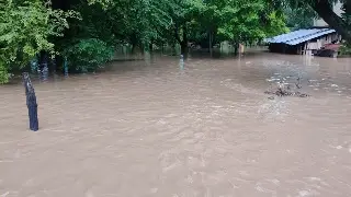 Imagen Suman 47 muertos por lluvias e inundaciones en 5 estados del país, entre ellos Veracruz