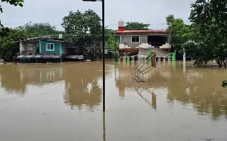 'Salimos en un congelador para no ahogarnos'; así vivieron habitantes inundación en Álamo, Veracruz