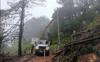Imagen CFE restablece servicio eléctrico al 83% de veracruzanos afectados por lluvias