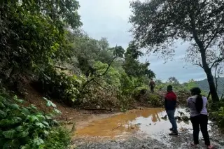 Imagen Esto pasó con las maestras incomunicadas en Texcatepec, Veracruz