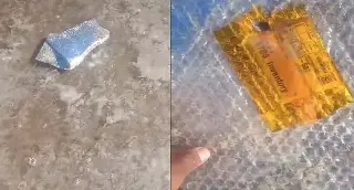 Encuentran basura espacial y delfines muertos en playa 