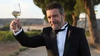 Hija de Antonio Banderas y Melanie Griffith se casa en España ¿Con quién? (+Video)
