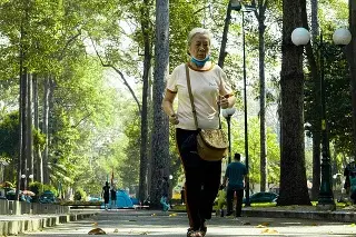 Imagen Caminar reduce riesgo de muerte en mujeres mayores, según estudio ¿Cuánto pasos diarios recomiendan?