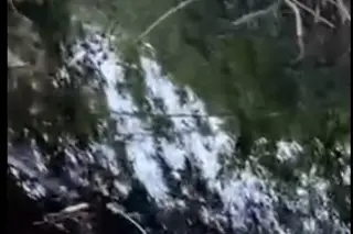 Imagen Derrame de petróleo contamina ejidos al norte de Veracruz 