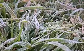 Imagen Se registra la primera helada en Veracruz (+ video)