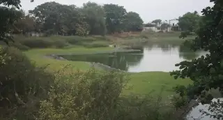 Imagen Habrá jornada de limpieza de las lagunas La Ilusión y El Ensueño en Veracruz