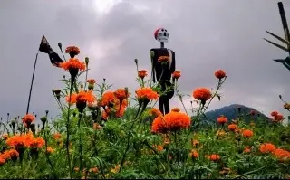 Imagen Vive en Paxtepec la tradición del Día de muertos