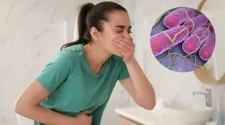 Imagen ¿Qué síntomas provoca la salmonelosis y cómo evitarla? 