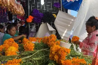 Imagen Vendedores registran aumento de precios de estos productos para altar de muertos en Veracruz