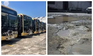 Empresa asegura que camiones Ulúa están preparados para baches de Veracruz