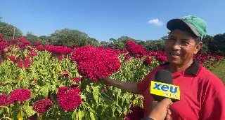 Imagen Desde los siete años aprendió a cultivar la flor de cempasúchil en Veracruz 
