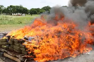 Imagen Destruyen más de 300 kilos de drogas aseguradas en Veracruz               