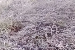 Imagen Estas son las temperaturas más bajas registradas este martes 