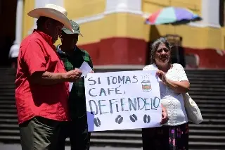 Imagen Productores de café piden frenar abuso en precios y aprobar Ley del Café