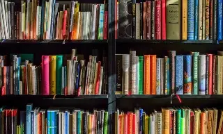 Imagen Invitan a leer 'Allá, en un pueblo llamado cuatro tumbas, una vez, una niña lechuza'