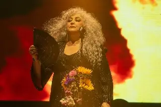 Imagen Único e inolvidable el regreso de Amanda Miguel en Veracruz (+fotos)