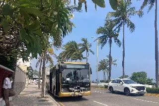 Imagen Otro accidente de camión Ulúa en Veracruz deja un turista herido; esto pasó