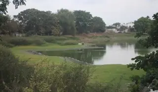 Imagen Invitan a niños a pintar mural en Laguna Ensueño en Veracruz